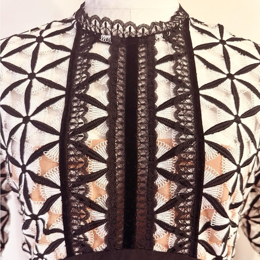 Self-Portrait Black & White Lace Pleated Maxi Dress - Picture 8 of 14